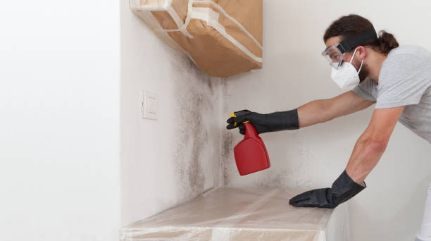 Professional Crawl Space Mold Remediation technician working in Upton, KY